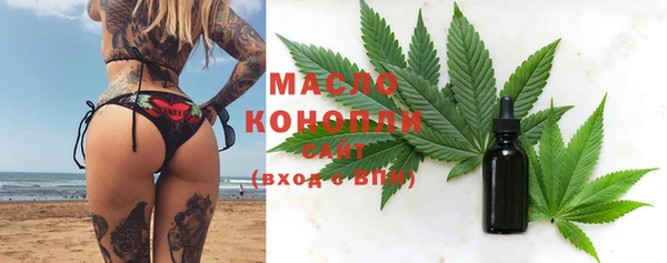 дживик Богородицк