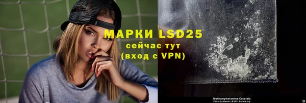 дживик Богородицк