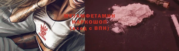 spice Богданович