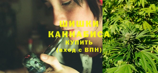 дживик Богородицк