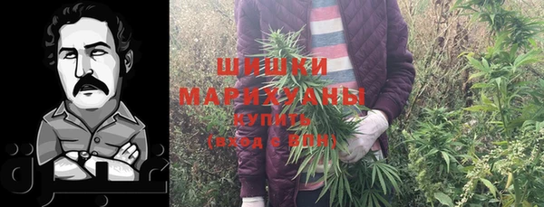 дживик Богородицк