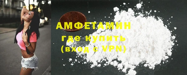 spice Богданович