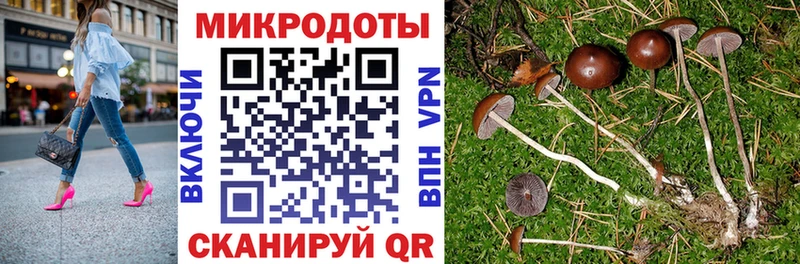 Псилоцибиновые грибы GOLDEN TEACHER Бокситогорск