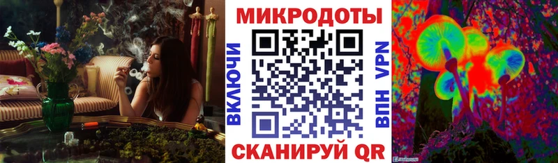 Галлюциногенные грибы Cubensis  Бокситогорск 