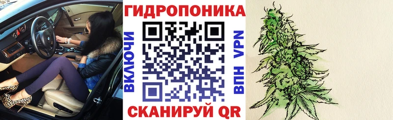 хочу наркоту  Бокситогорск  Канабис индика 